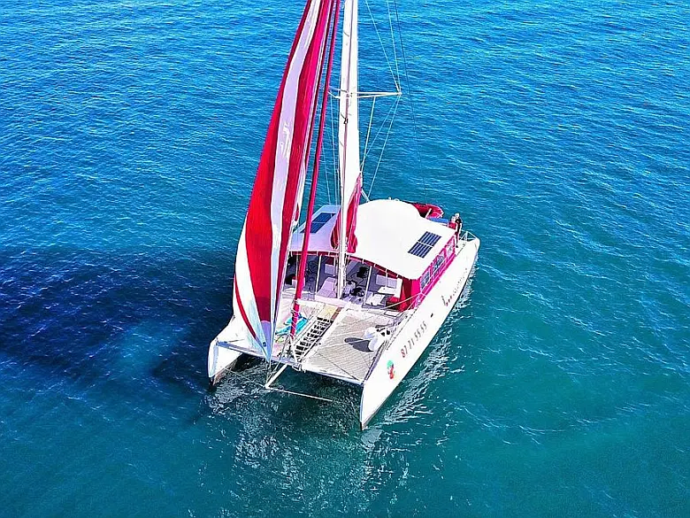 Ocean Voyager 53